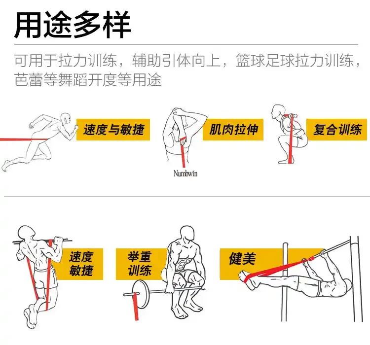 如何为残疾人士提供适合的篮球辅导_1